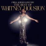26-10-2012 - schmitt_rauch - Whitney Houston - I Will Always Love You.jpg